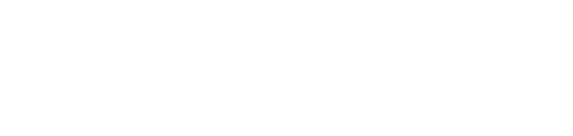 LifeGuides company logo
